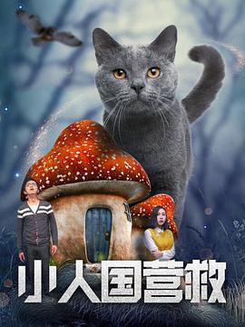 国产精品白浆流出视频