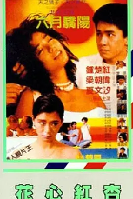 噬血狂袭第一季高清在线观看