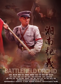 免费视频一区二区