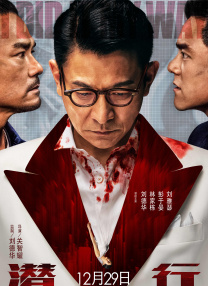 又黄又爽视频在线观看