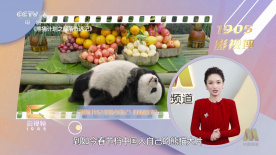爱啪啪tv2最新地址